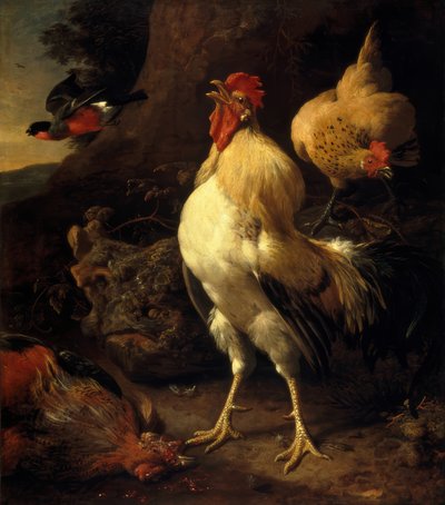 M. de Hondecoeter, Victorious Rooster by Melchior de Hondecoeter